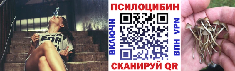 Псилоцибиновые грибы Magic Shrooms  блэк спрут ссылка  Кашин  магазин  наркотиков 